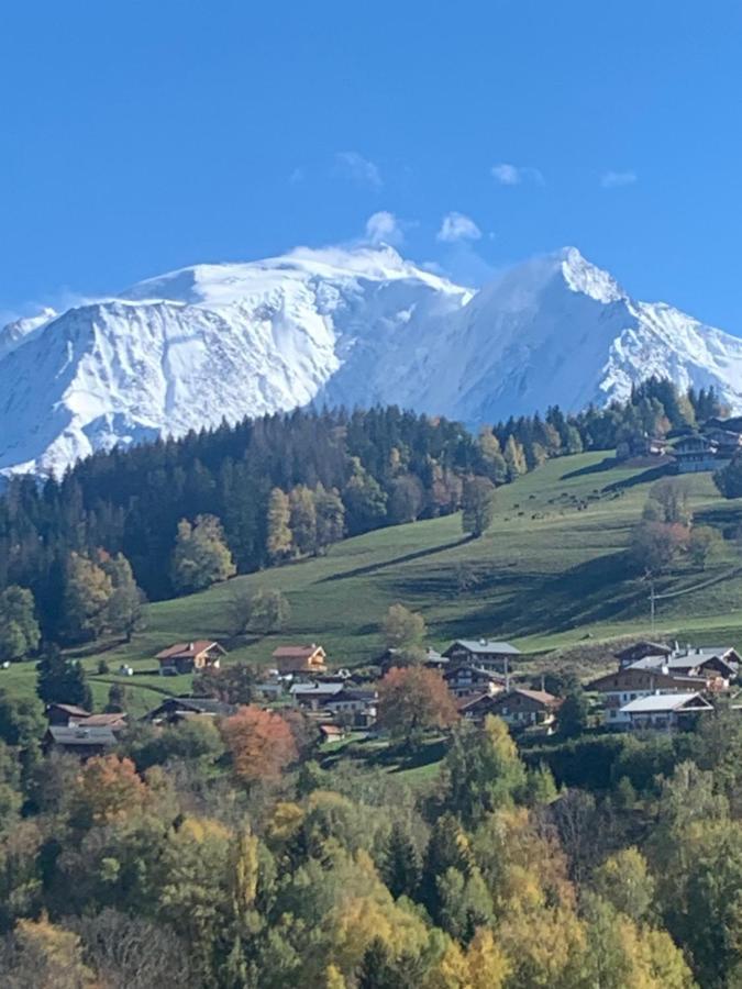 Chalet Mont Blanc Комблу Экстерьер фото